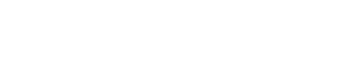 Light Speed DBM — Design, Build, Manage